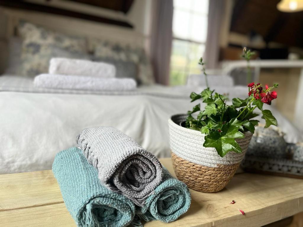 Prospect Farm Cottages 조지 외부 사진